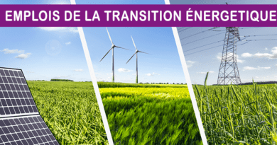 Les emplois de la transition énergétique en réalité